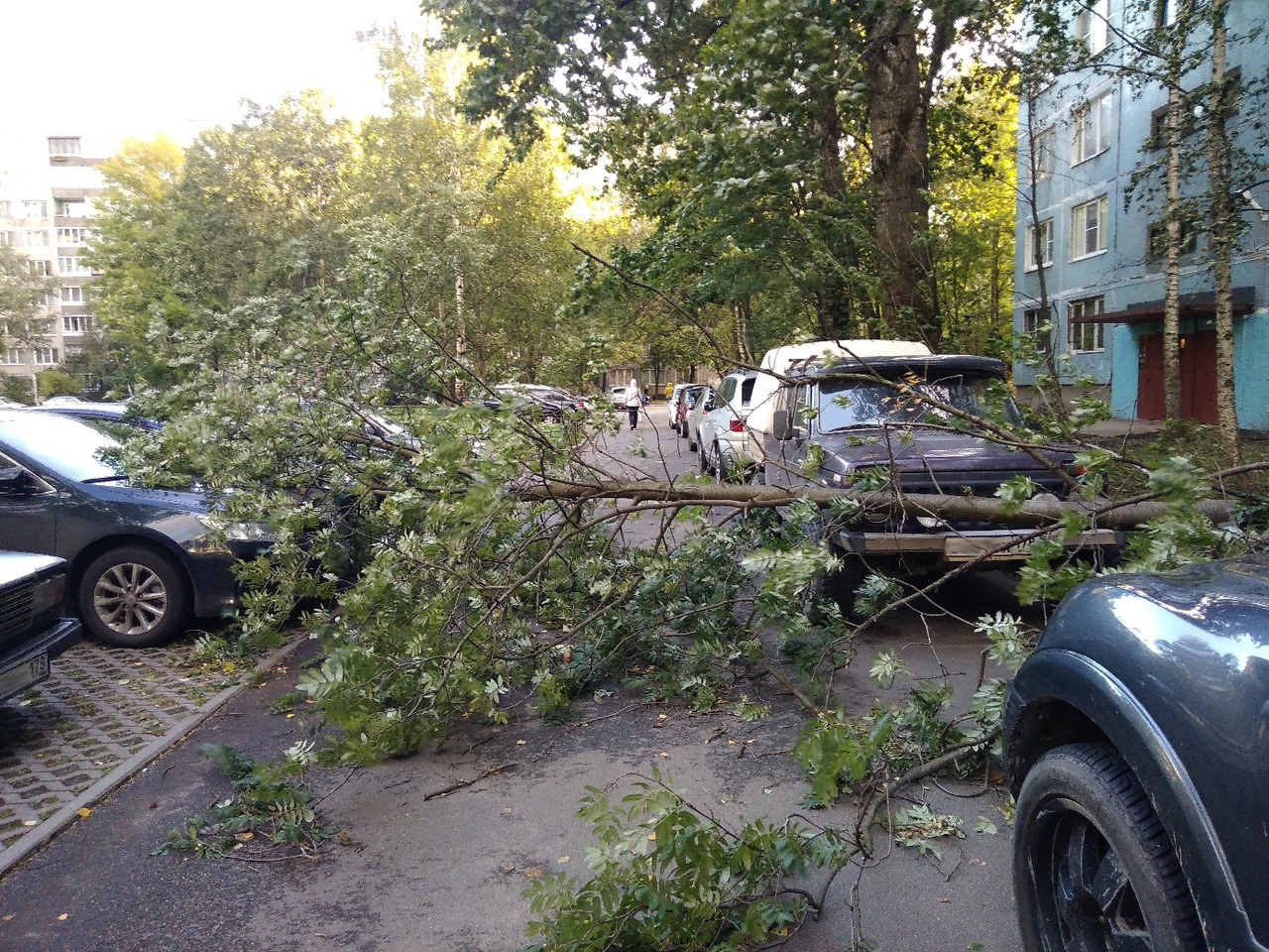 Подвойского, 28